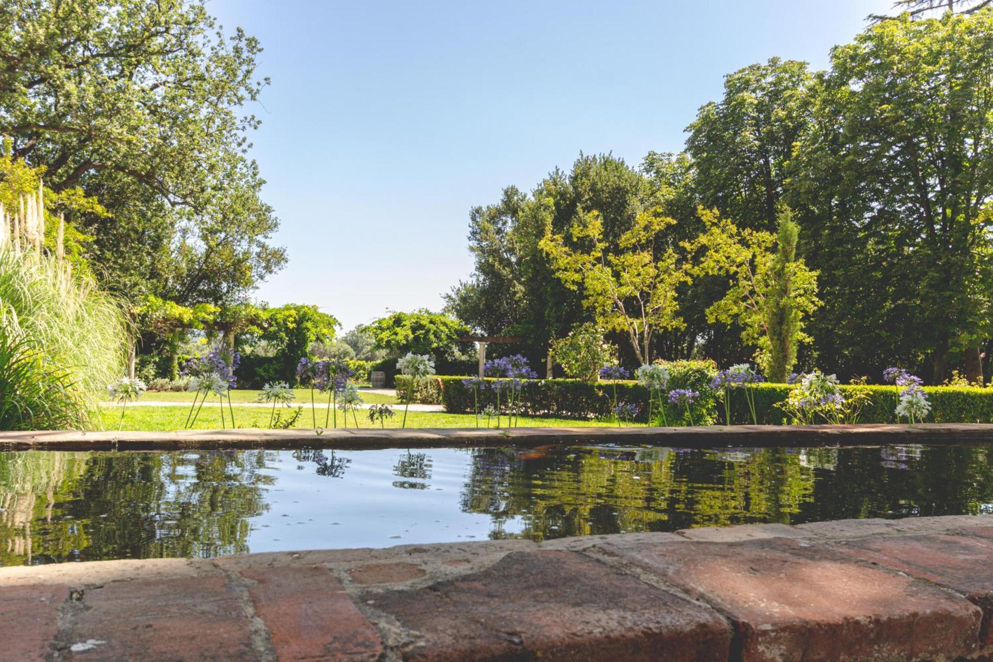 Domaine De La Baratonne Bed & Breakfast La Garde  Exterior photo
